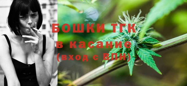 гашик Болотное