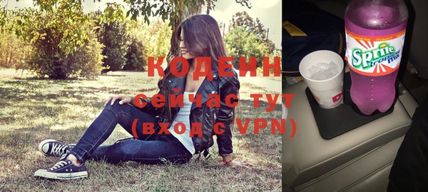 гашик Болотное
