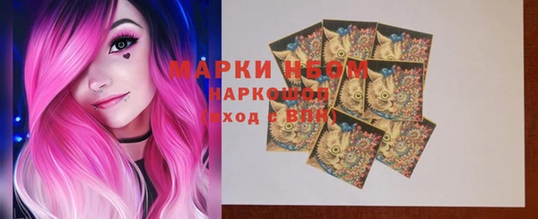 гашик Болотное