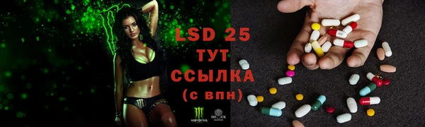 первитин Белокуриха