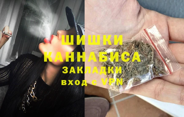 гашик Болотное